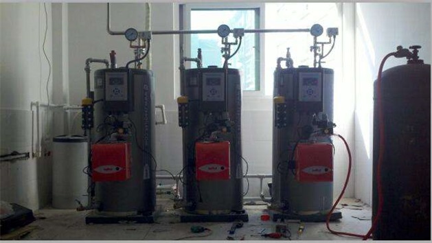 蒸汽發生器 蒸汽發生器