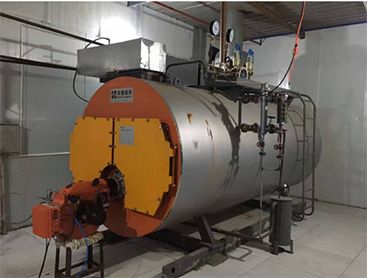 蒸汽發生器 蒸汽發生器